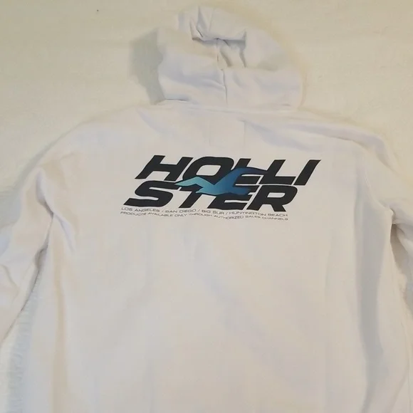 HOLLISTER HOODIE - Picture 9 of 10
